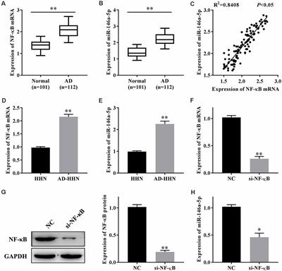 NF-κB-Induced Upregulation of miR-146a-5p Promoted Hippocampal Neuronal Oxidative Stress and Pyroptosis via TIGAR in a Model of Alzheimer’s Disease